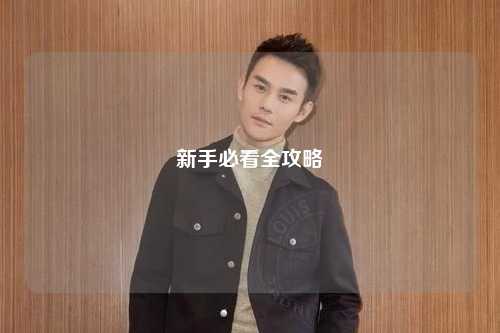 新手必看全攻略