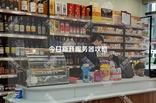 今日新開服務(wù)器攻略