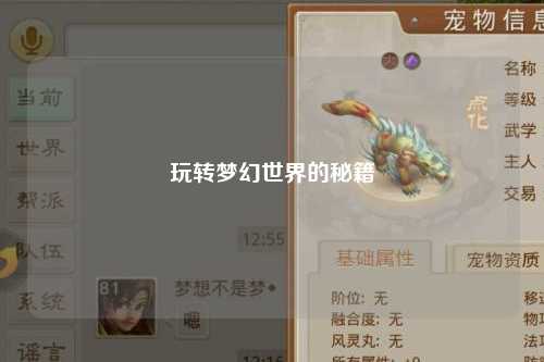 玩轉(zhuǎn)夢幻世界的秘籍