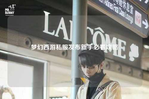 夢(mèng)幻西游私服發(fā)布新手必看攻略