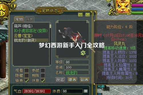 夢(mèng)幻西游新手入門全攻略
