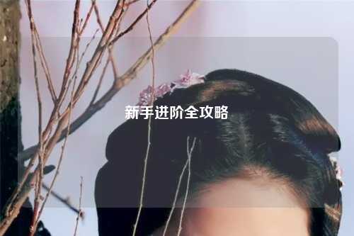 新手進(jìn)階全攻略