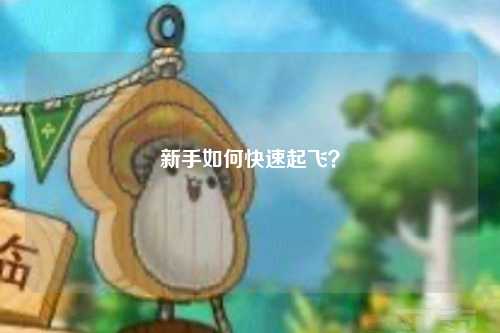 新手如何快速起飛？