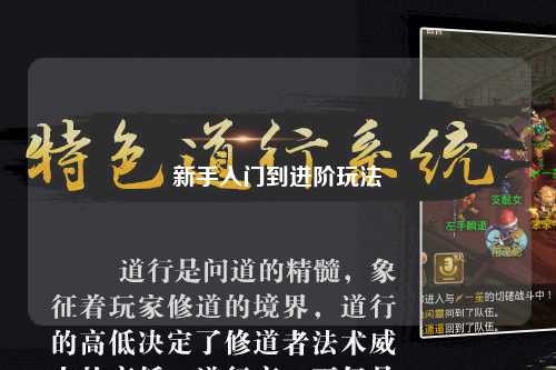 新手入門到進(jìn)階玩法