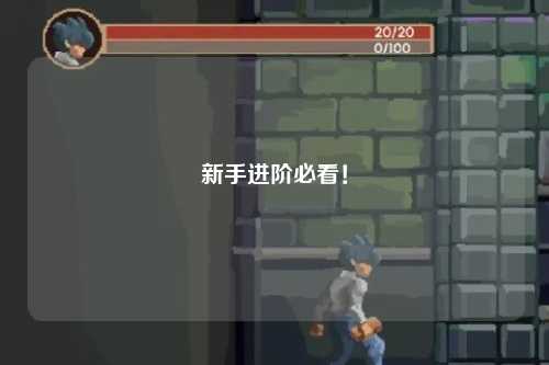 新手進階必看！