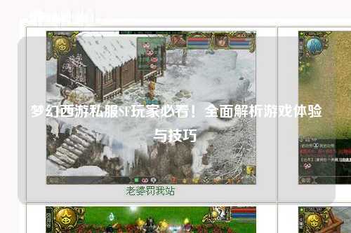 夢幻西游私服SF玩家必看！全面解析游戲體驗與技巧