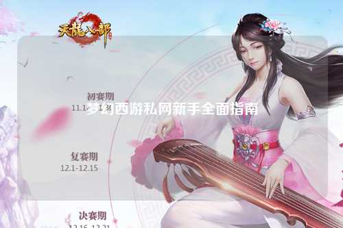 夢幻西游私網(wǎng)新手全面指南