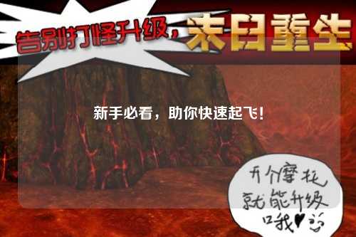 新手必看，助你快速起飛！