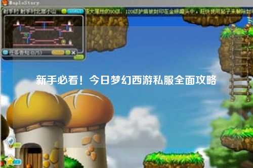 新手必看！今日夢幻西游私服全面攻略