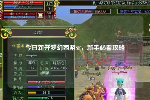 今日新開夢(mèng)幻西游SF，新手必看攻略