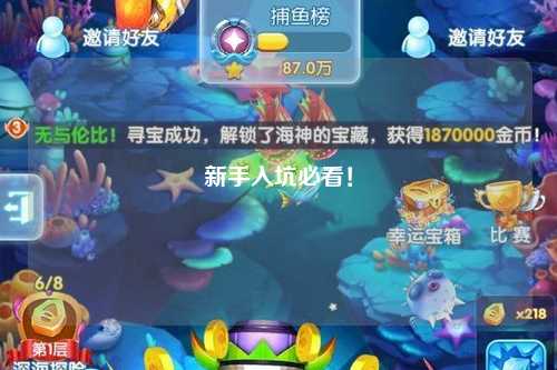 新手入坑必看！