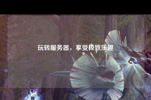 玩轉(zhuǎn)服務器，享受極致樂趣