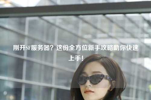 剛開SF服務(wù)器？這份全方位新手攻略助你快速上手！