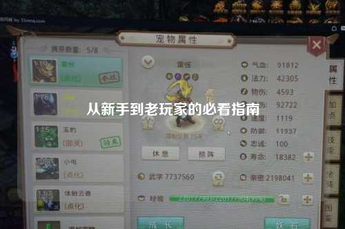 從新手到老玩家的必看指南