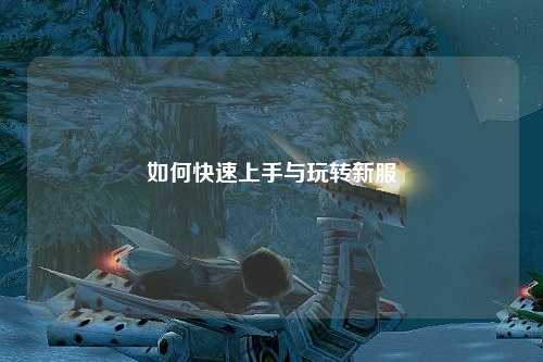 如何快速上手與玩轉(zhuǎn)新服