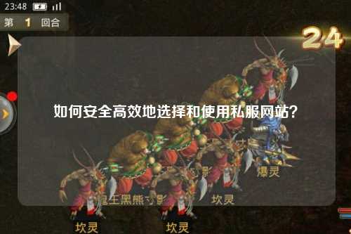 如何安全高效地選擇和使用私服網(wǎng)站？