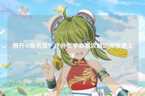 剛開(kāi)SF服務(wù)器？這份新手必看攻略助你快速上手