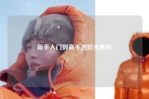 新手入門到高手進階全解析