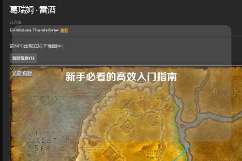 新手必看的高效入門指南