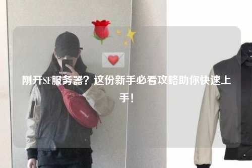 剛開SF服務(wù)器？這份新手必看攻略助你快速上手！