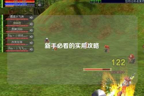 新手必看的實(shí)用攻略