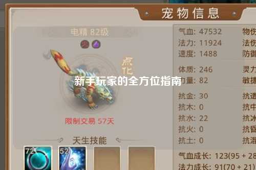 新手玩家的全方位指南