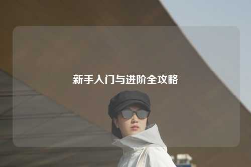 新手入門與進階全攻略