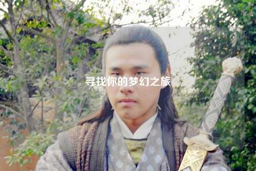 尋找你的夢幻之旅