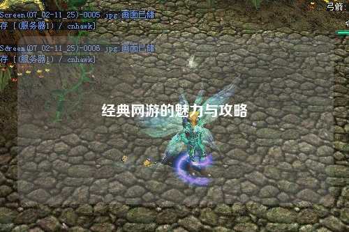 經(jīng)典網(wǎng)游的魅力與攻略