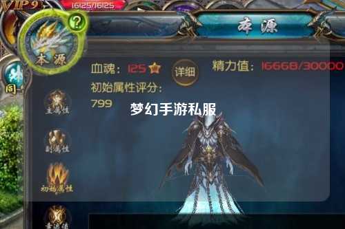 夢(mèng)幻手游私服