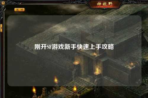 剛開SF游戲新手快速上手攻略