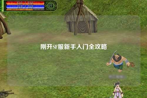剛開(kāi)SF服新手入門(mén)全攻略