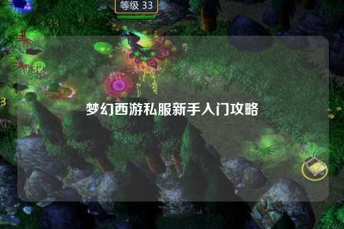 夢幻西游私服新手入門攻略