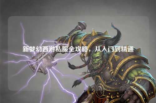 新夢(mèng)幻西游私服全攻略，從入門到精通