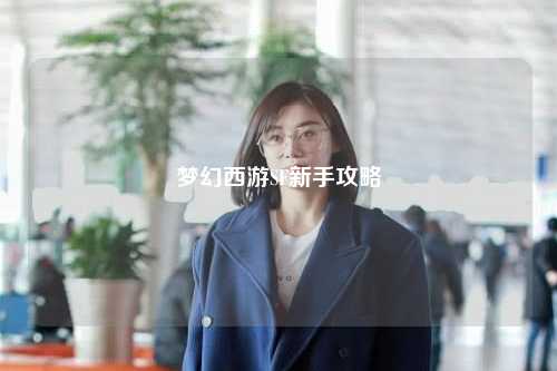 夢(mèng)幻西游SF新手攻略