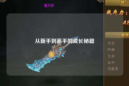 從新手到高手的成長秘籍