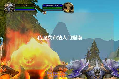 私服發(fā)布站入門指南