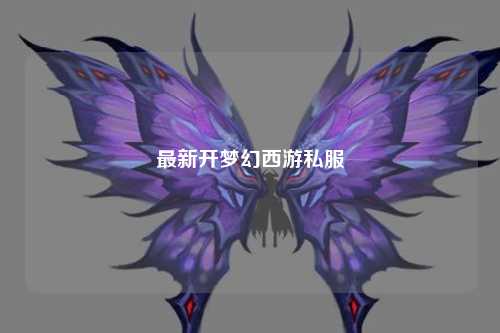 最新開夢幻西游私服