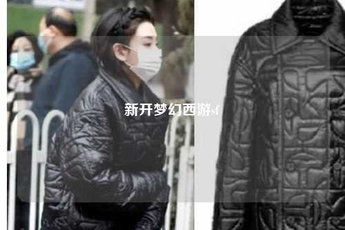 新開(kāi)夢(mèng)幻西游sf