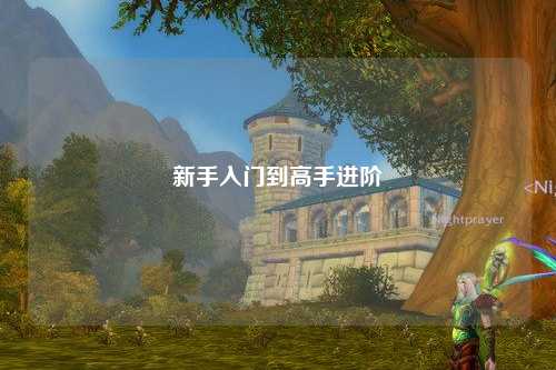 新手入門到高手進(jìn)階