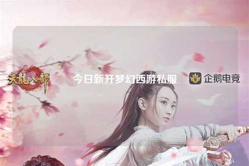 今日新開夢幻西游私服