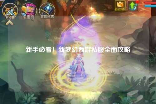 新手必看！新夢幻西游私服全面攻略