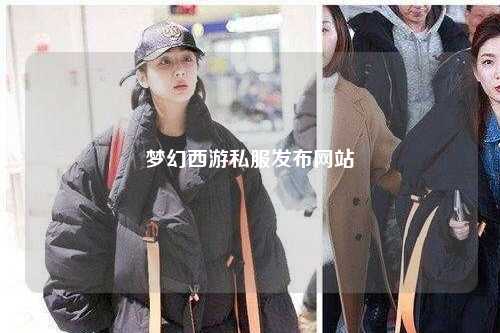 夢(mèng)幻西游私服發(fā)布網(wǎng)站