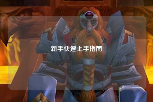 新手快速上手指南