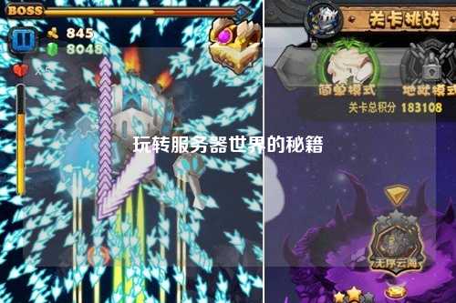 玩轉(zhuǎn)服務(wù)器世界的秘籍